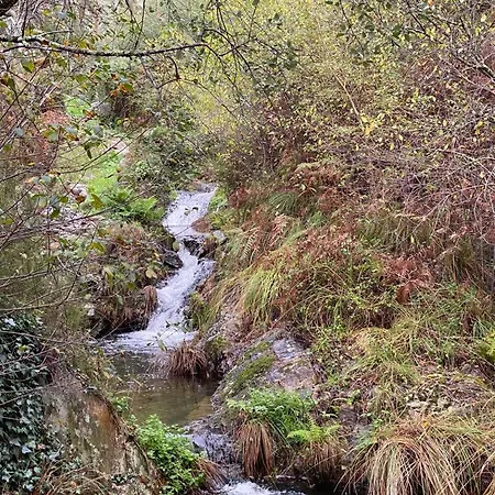 Refugio Abrunheiro Grande Casa vacanze *