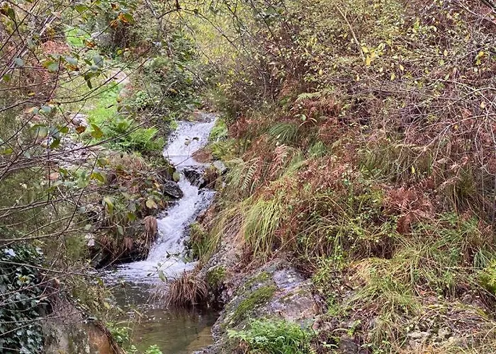 Refugio Abrunheiro Grande Prázdninový dům *